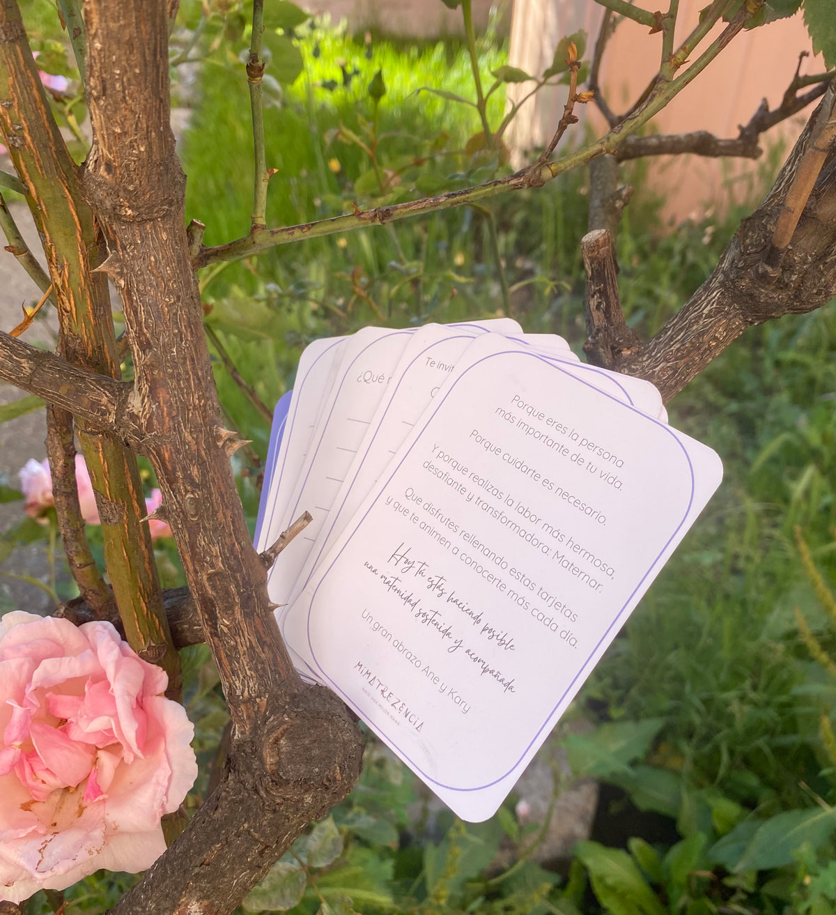 Cartas Cuidarme Maternando